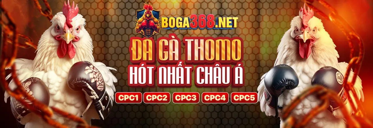 Tin tức 99vz nhà cái